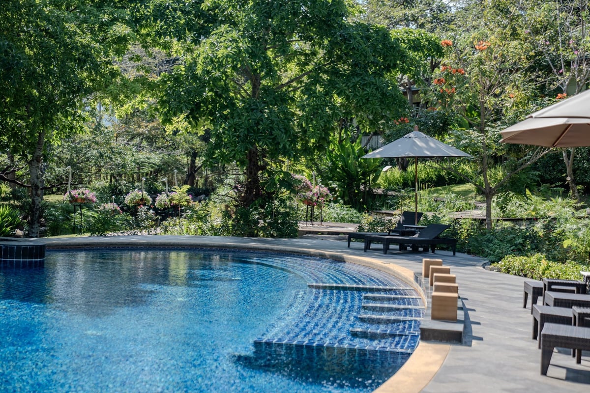 A curved pool shines with sunlight next to dense tropical plants, while lounge chairs and umbrellas rest quietly by the water.