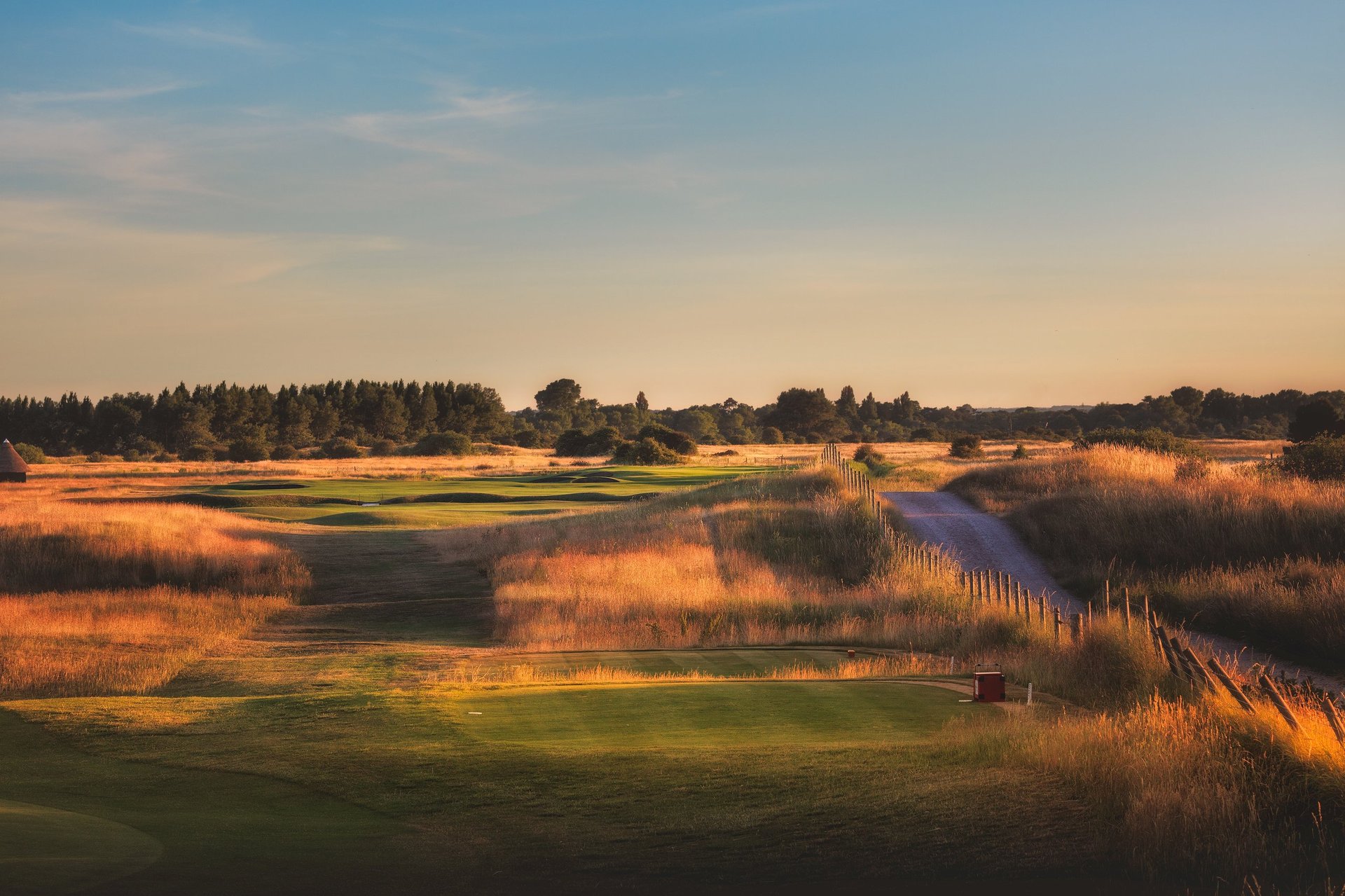 Golden hour landscape of a coastal wetland with marsh grasses, waterways, and forested tree line under a clear sky
