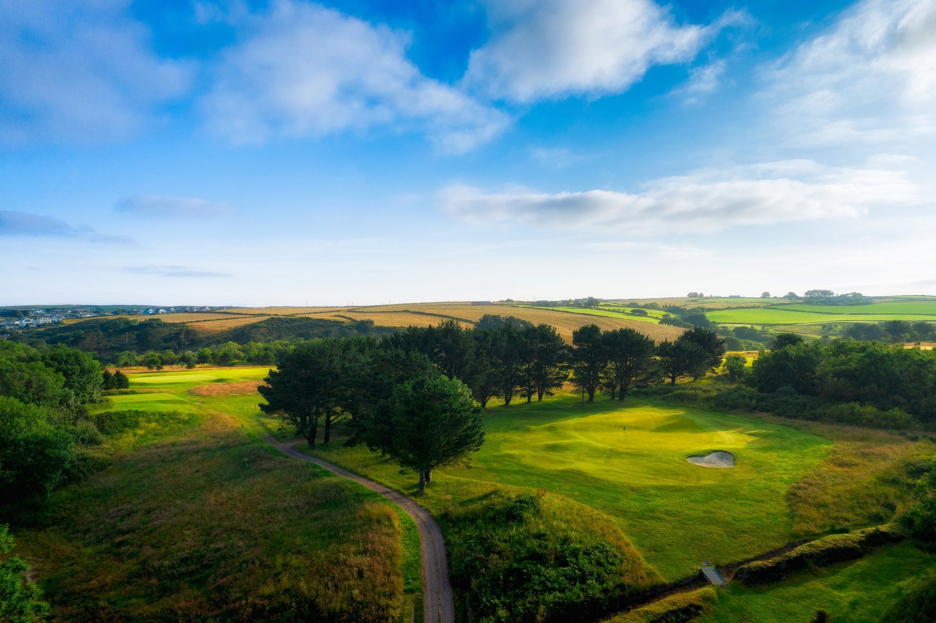 Aerial view of rolling green farmland with scattered trees, winding road, and blue sky with clouds