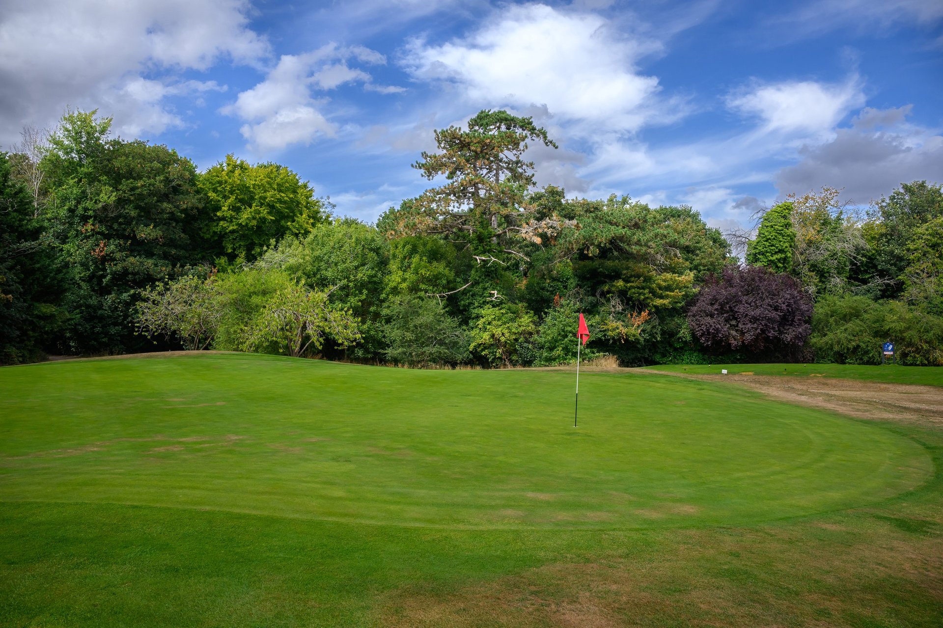 Golf green with flag on manicured grass surrounded by trees under blue sky with white clouds
