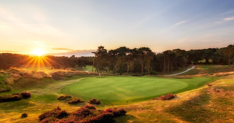 Golf course green at sunset with trees in background and golden sunlight illuminating the fairway