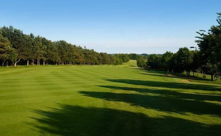 Wide green golf course or park with trees lining both sides and clear blue sky
