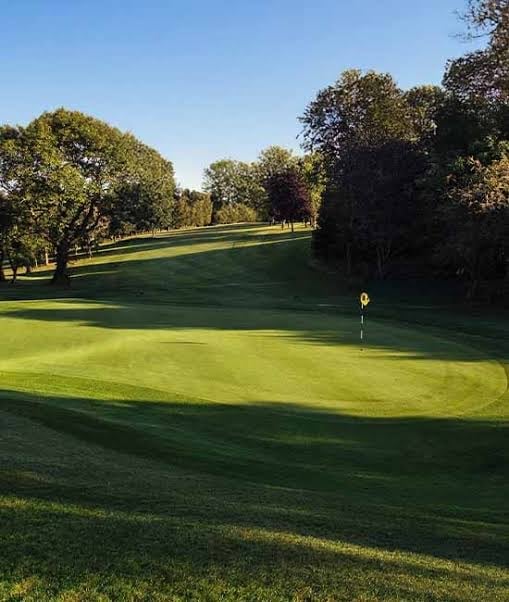 Golf course putting green with yellow flag marker surrounded by mature trees under clear blue sky