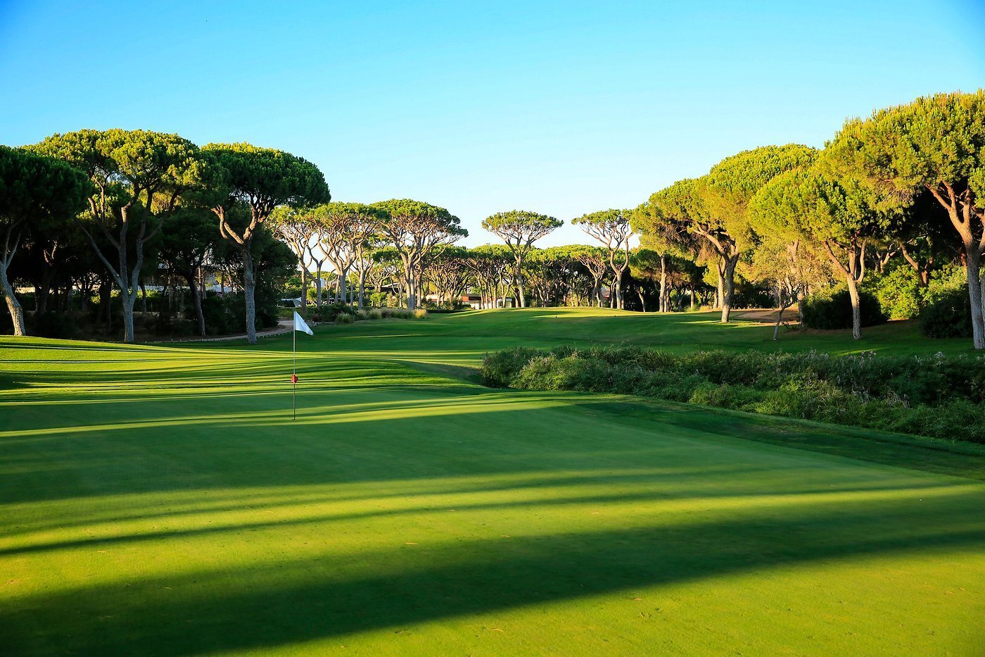 Manicured golf course with lush green fairway, pine trees lining the course, clear blue sky, and shadows cast across the grass