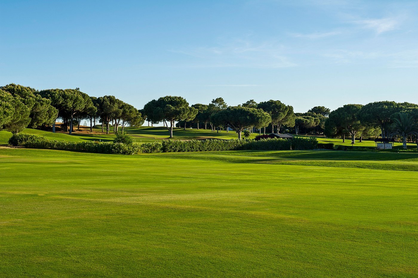 Wide open green golf course with manicured lawn, tree-lined fairways, and clear blue sky