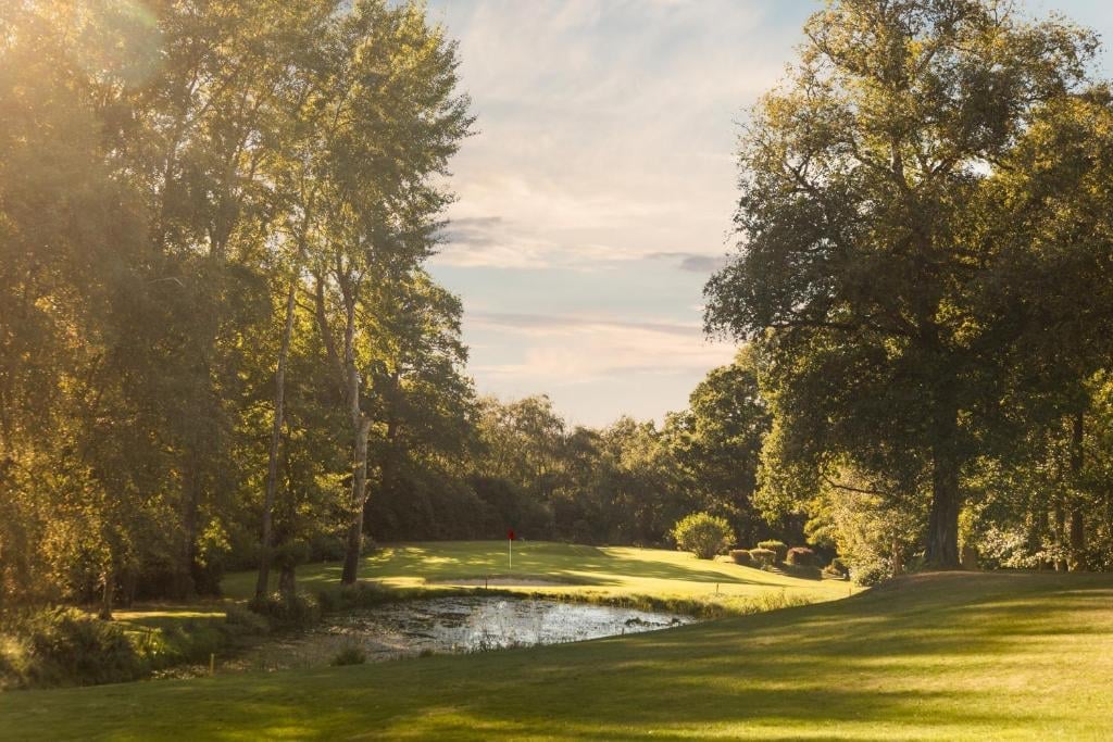 Scenic park landscape with mature trees lining a winding pond surrounded by manicured green grass in golden sunlight