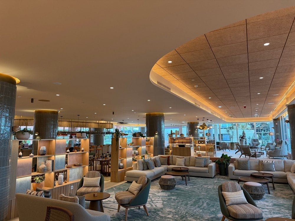Modern hotel lobby with warm wooden curved ceiling, comfortable seating areas, shelving displays, and large windows overlooking a cityscape